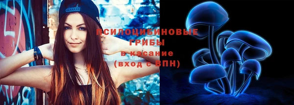 MDMA Медногорск
