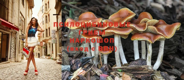 ешки Медвежьегорск