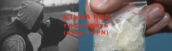 шишки Майский