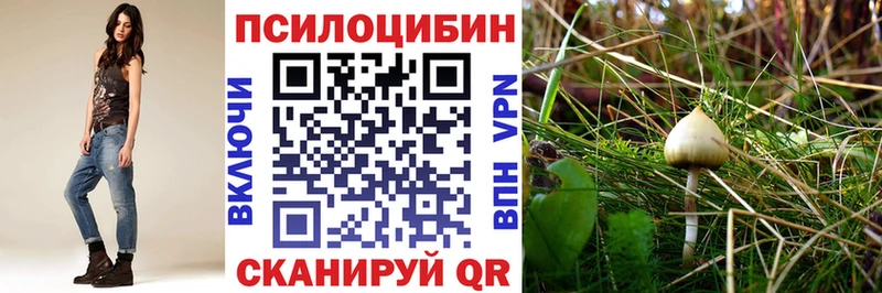 Псилоцибиновые грибы GOLDEN TEACHER гидра Нелидово купить